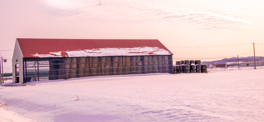 あんしん　だね。