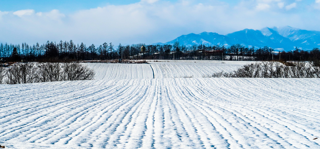 ゆきだ　ゆきだ