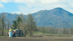 はるのかぜに　さそわれて