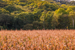 おわり　と　はじまり