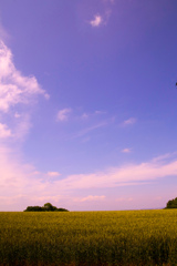 さわやかに　たたずむ