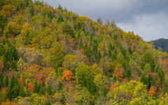 あき　いろつきはじめ