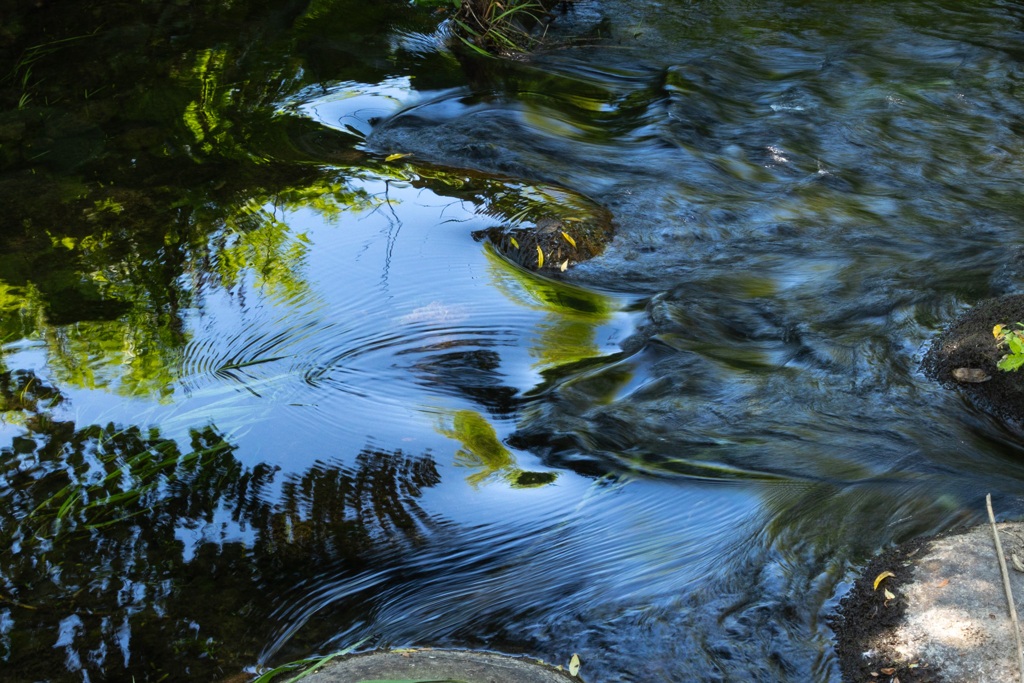 ろっか　の　もり