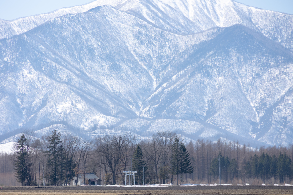 はるの　いのり