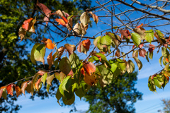 はじまりました。