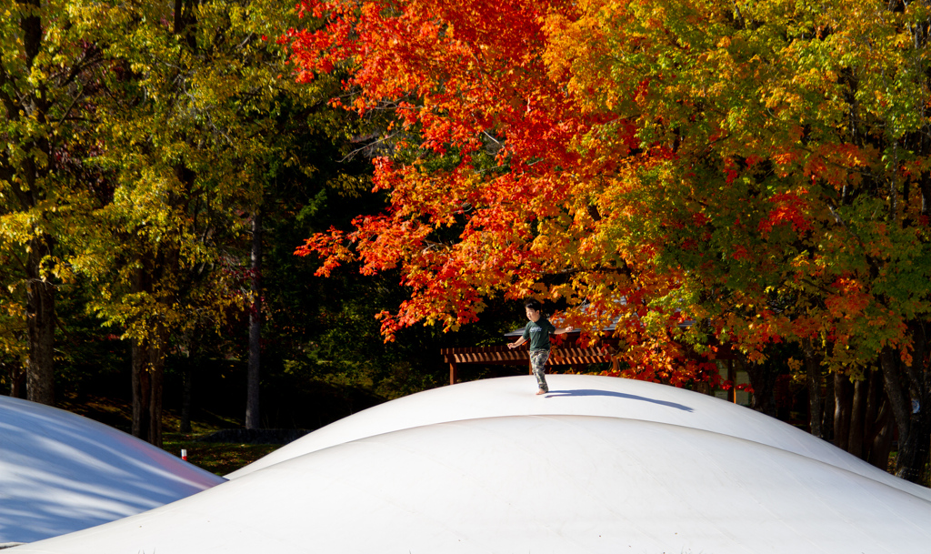 こうよう　と　ぼくちゃん