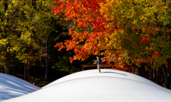 こうよう　と　ぼくちゃん