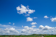 ひさしぶりです