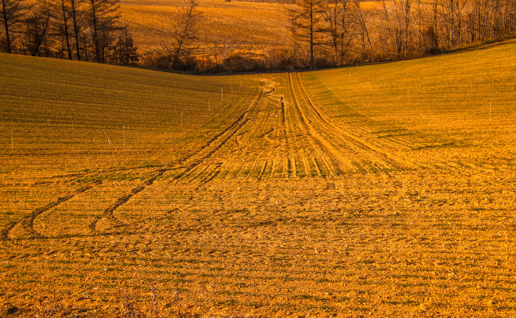 あかく　そまる