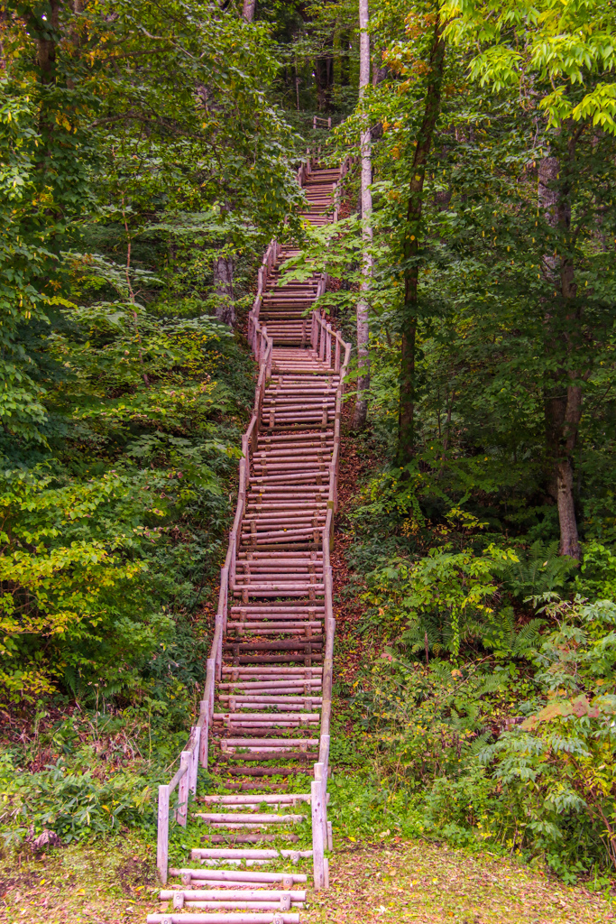 いちだん　いちだん