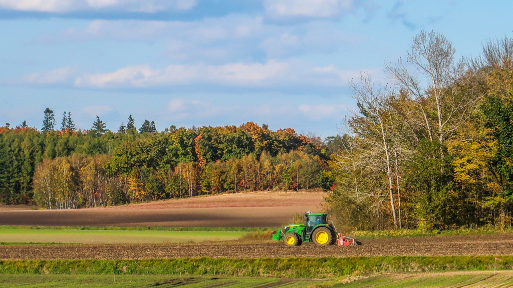 あきの　ふうけい