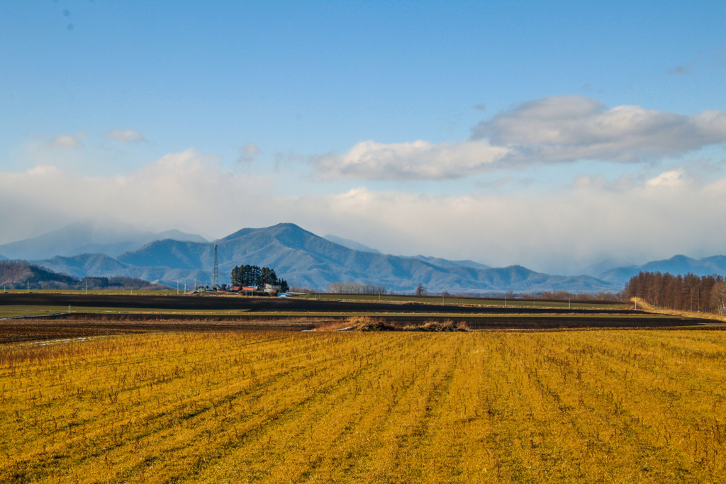 いつものふうけい　しょとう