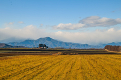いつものふうけい　しょとう