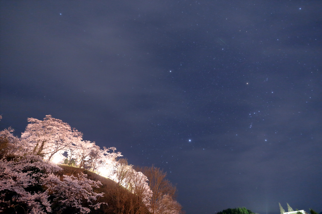 桜の丘から星を眺めて