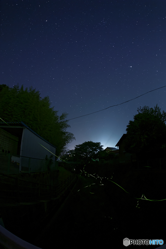 蛍と星の光に誘われて