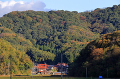 田舎の風景