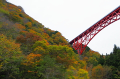 島根県　おろちループ