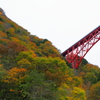 島根県　おろちループ
