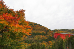 島根県　おろちループ