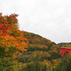 島根県　おろちループ