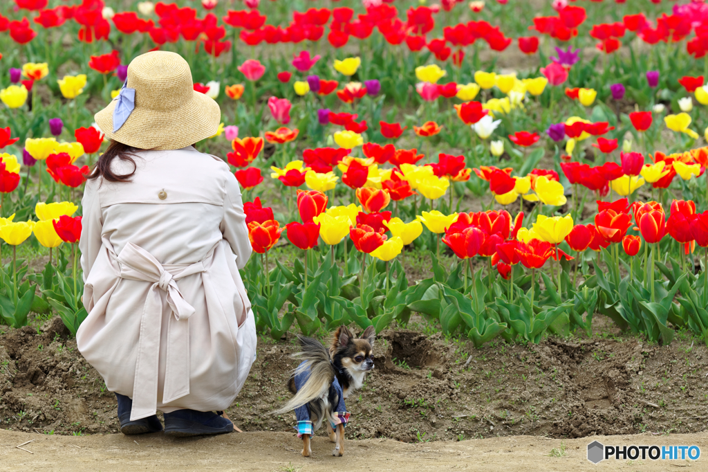 花には興味ないワン！