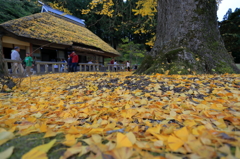 島根県　金言寺