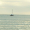 静かな海