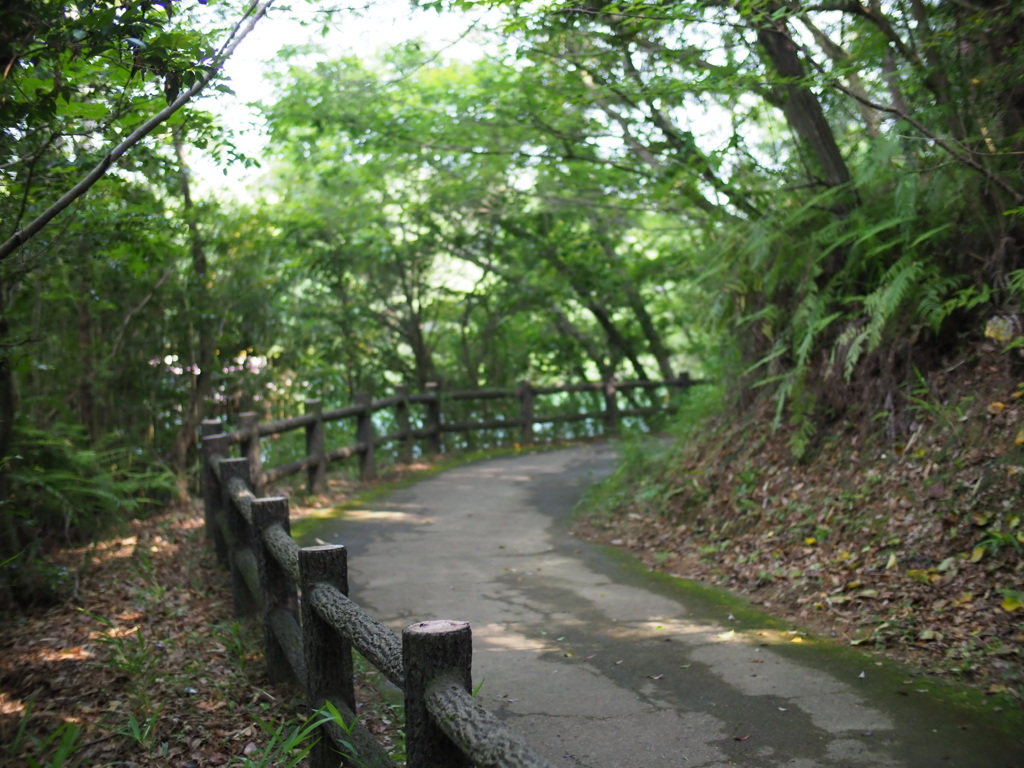 散歩道