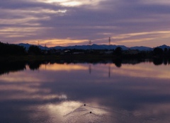 夕陽に向かって