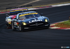LEON SLS