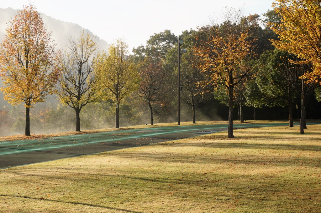 朝の公園.1