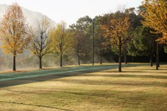 朝の公園.1