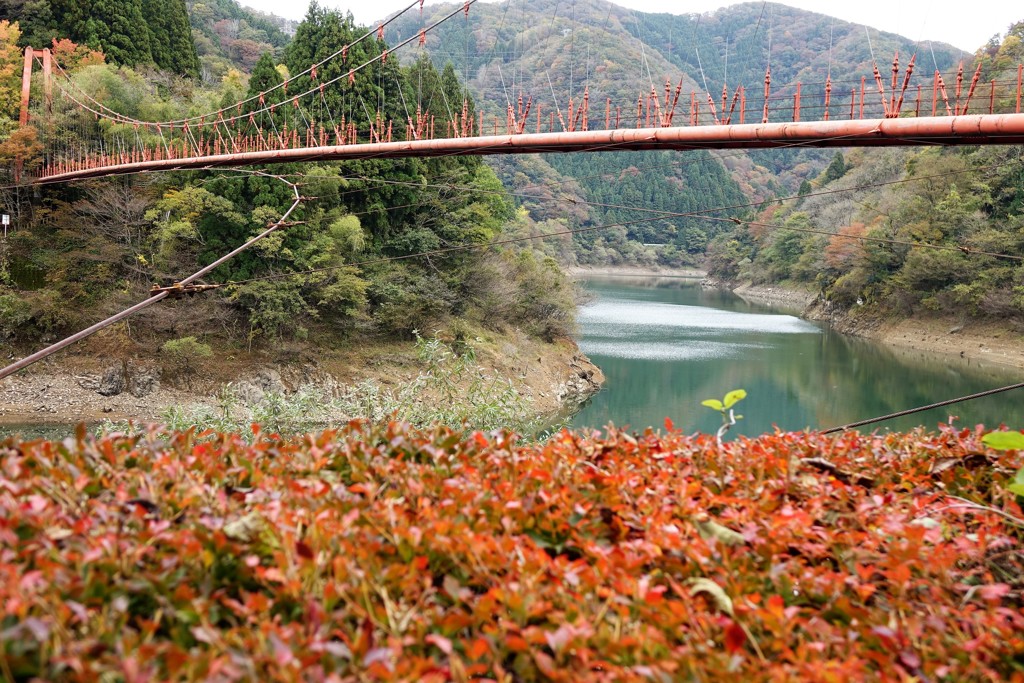 吊り橋２