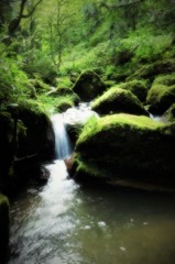 目に鮮やかに.1
