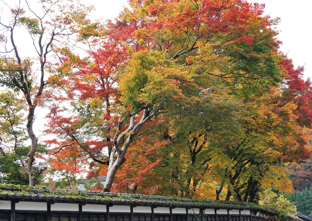 土塀から.2