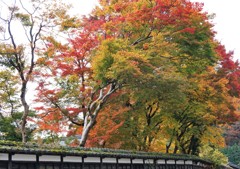 土塀から.2