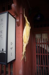 風情.2