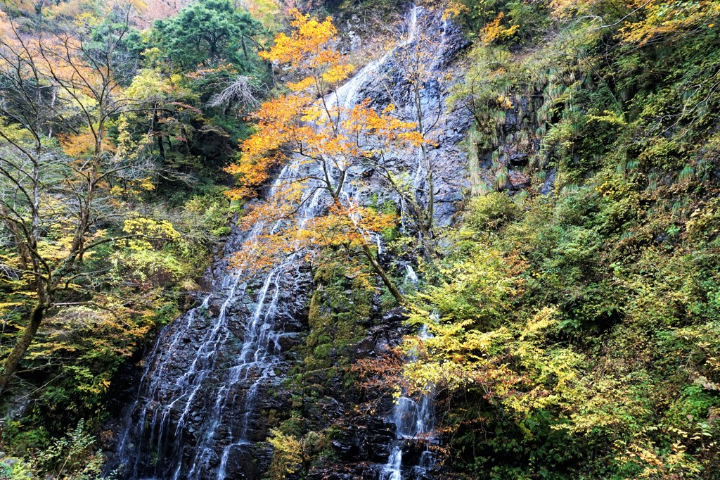 龍双の滝.1