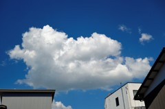 夏雲１
