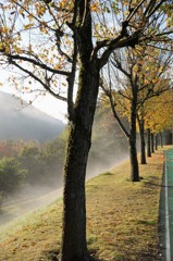 朝の公園.2