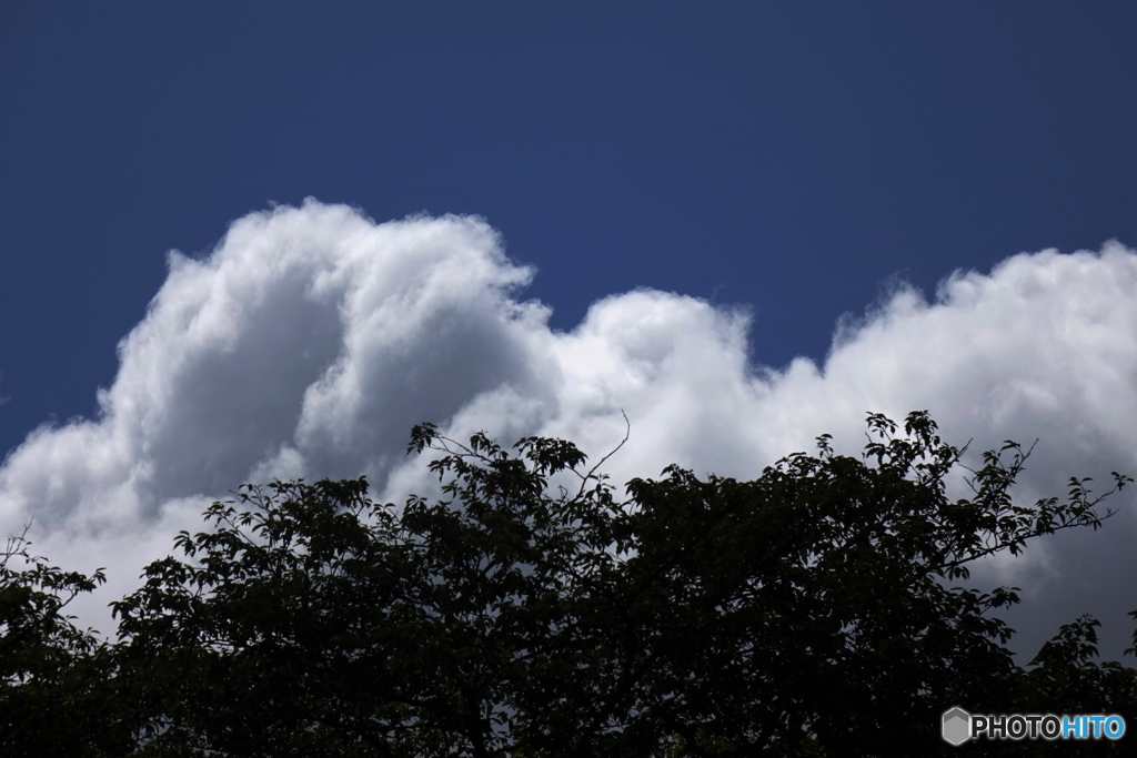 綿雲