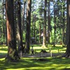 初夏の平泉寺2