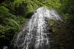 滝