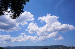 浮き雲