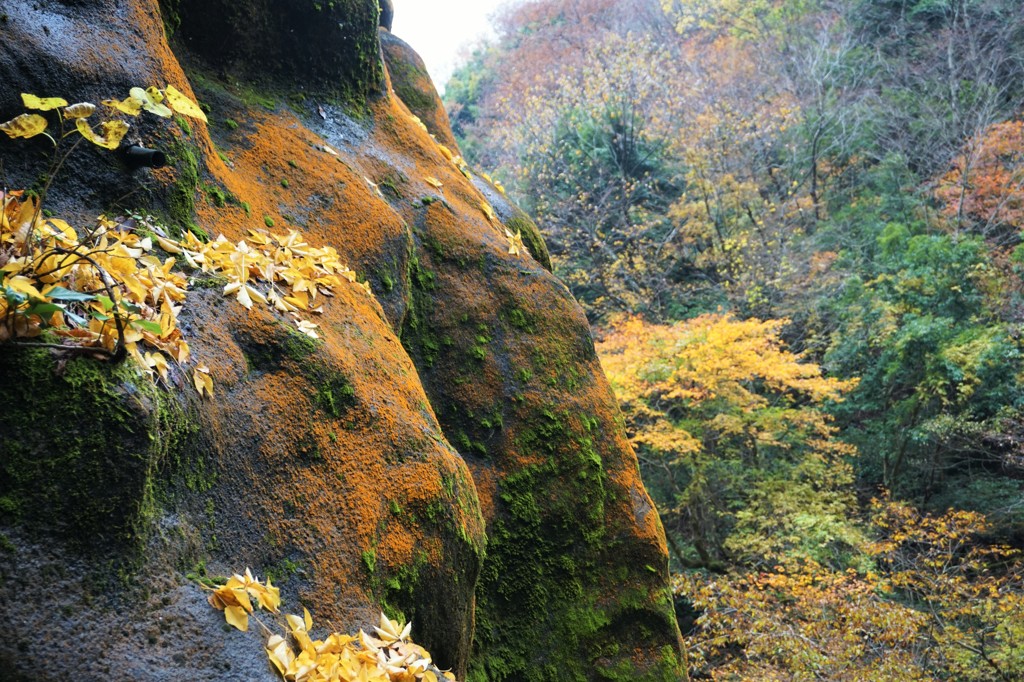 山肌