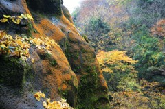 山肌