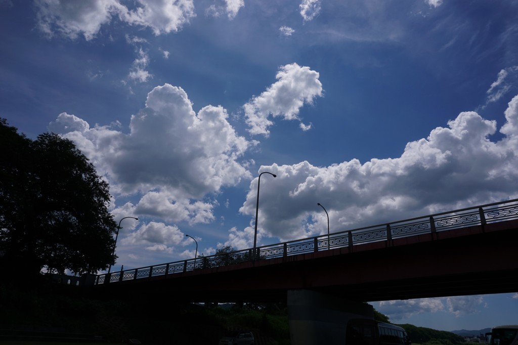 陽
