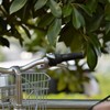 ま新しい自転車　たぶん新入生のだ