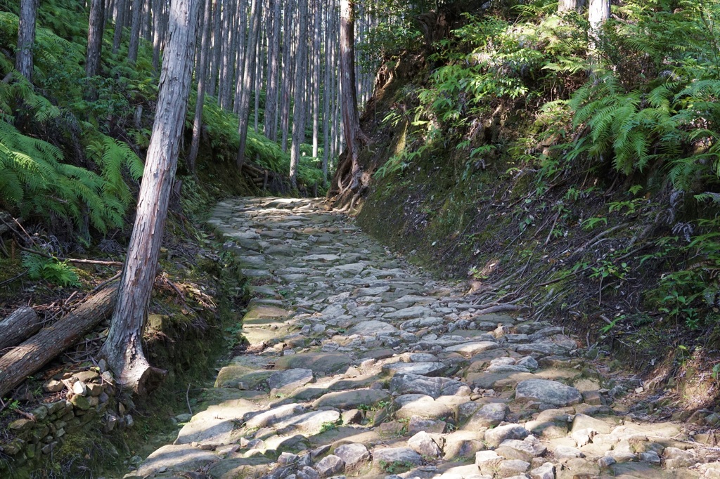 熊野古道 中辺路