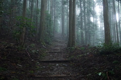 霧の熊野古道